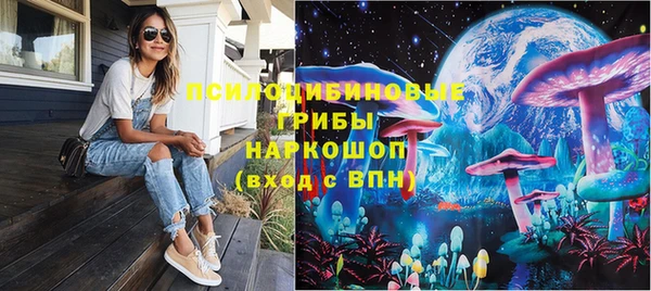МДПВ Абинск