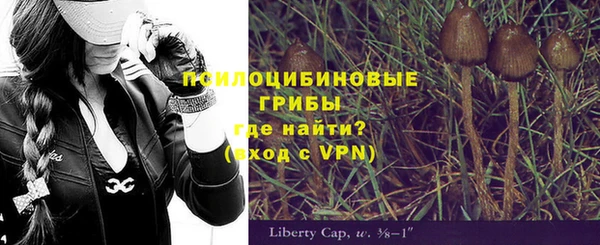 каннабис Абаза