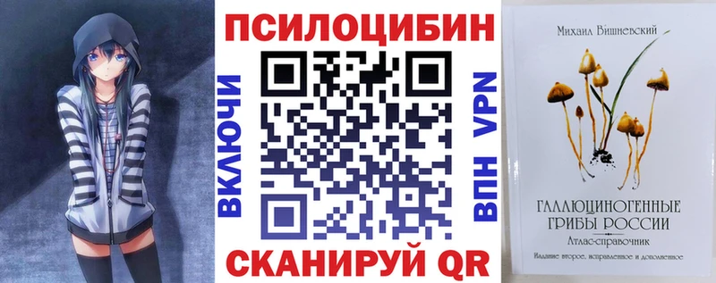 мега маркетплейс  Стерлитамак  Галлюциногенные грибы Psilocybine cubensis 
