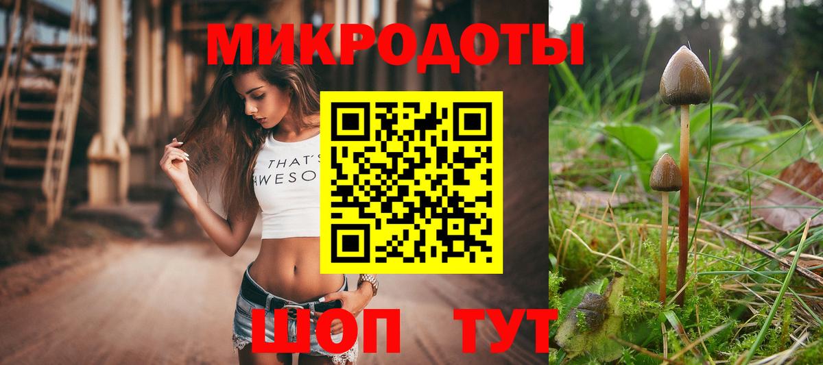 магазин продажи   Вход с VPN  Стерлитамак  Псилоцибиновые грибы GOLDEN TEACHER 